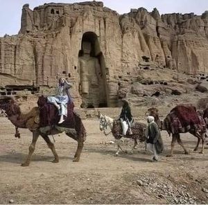 Meet your Posher, Abdul